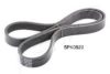 ASHIKA 112-5PK920 V-Ribbed Belts